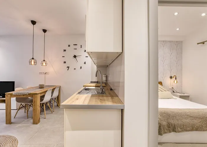 Ester-david 帕拉莫斯