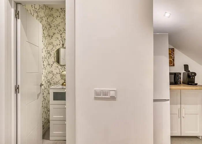 Ester-david 帕拉莫斯